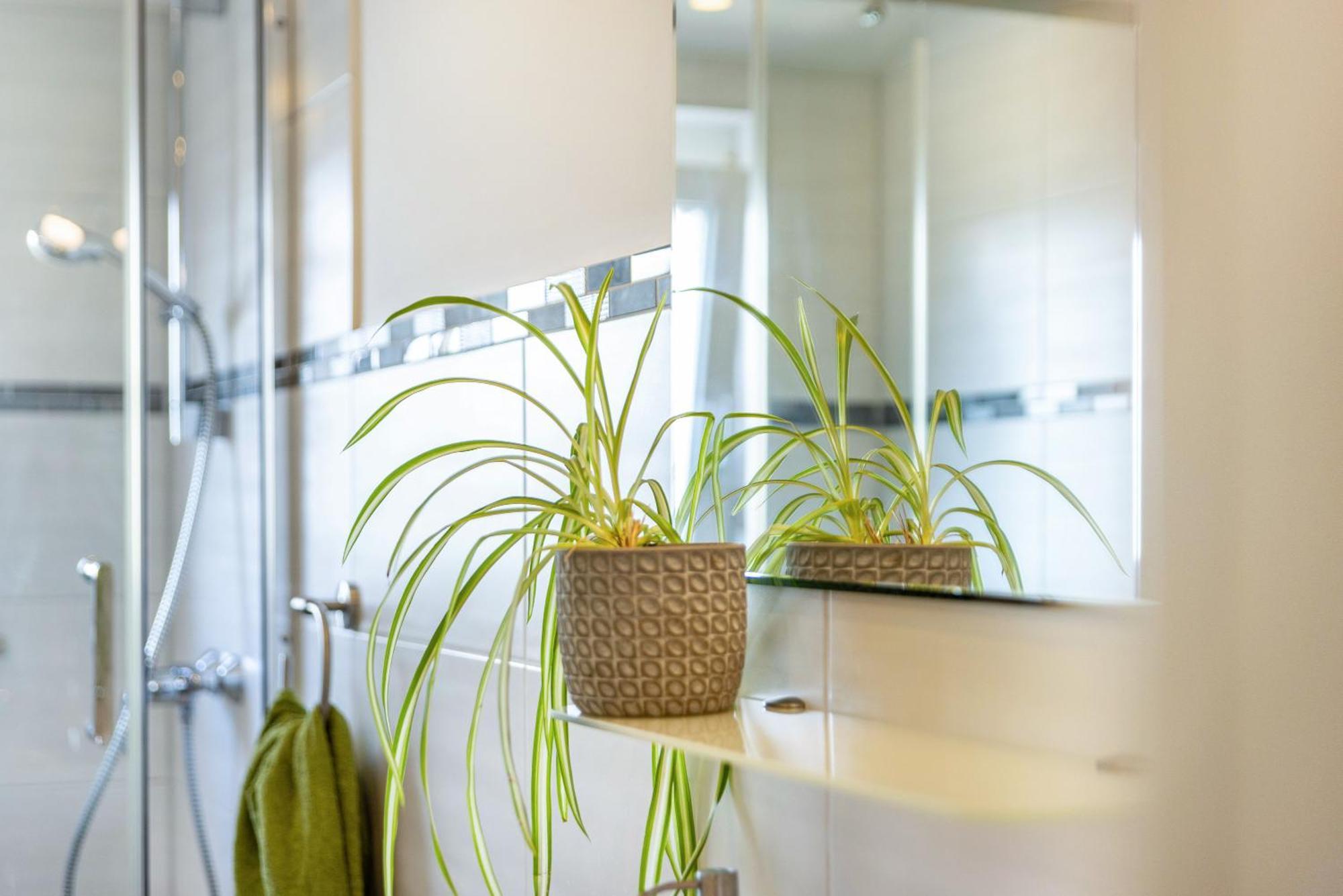 Baumelt Ferienwohnung 赫辛根 外观 照片